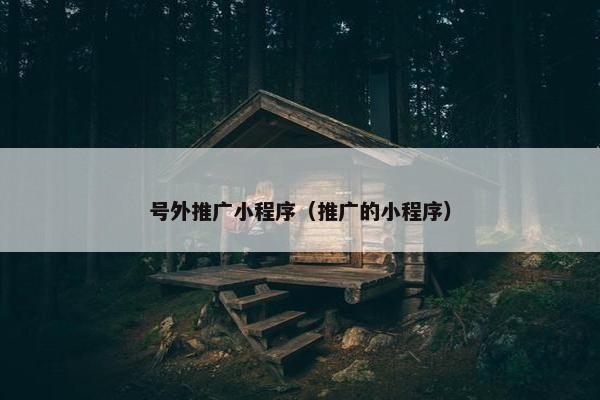 号外推广小程序（推广的小程序）