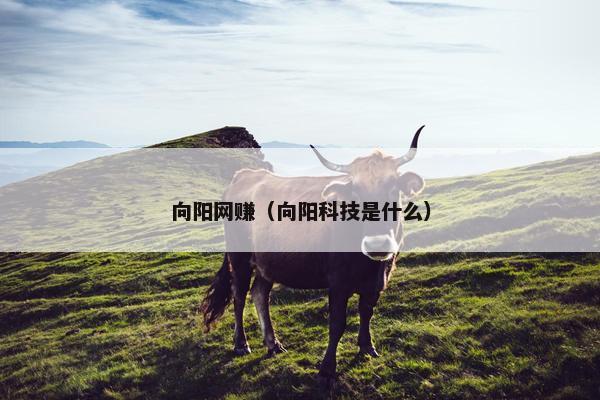 向阳网赚（向阳科技是什么）