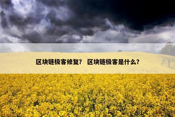 区块链极客修复？ 区块链极客是什么？