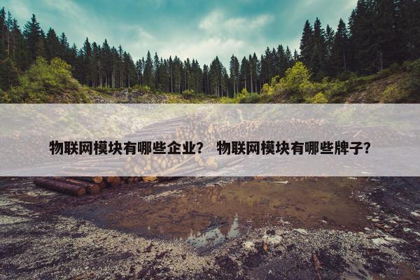 物联网模块有哪些企业？ 物联网模块有哪些牌子？