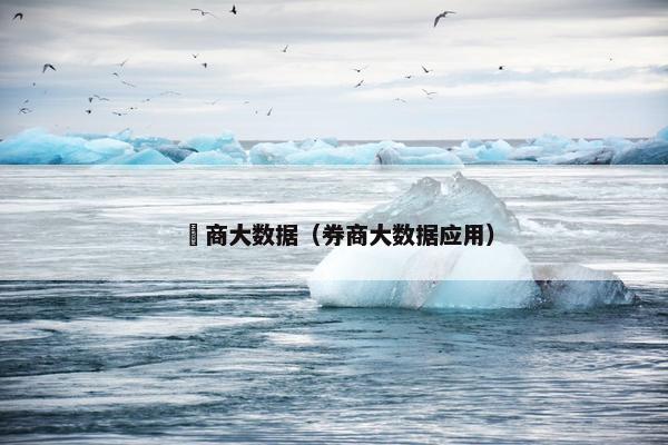 劵商大数据（券商大数据应用）