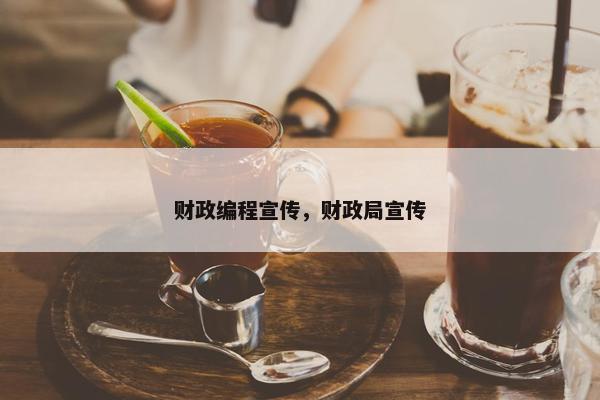 财政编程宣传，财政局宣传