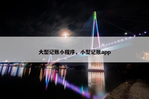 大型记账小程序，小型记账app