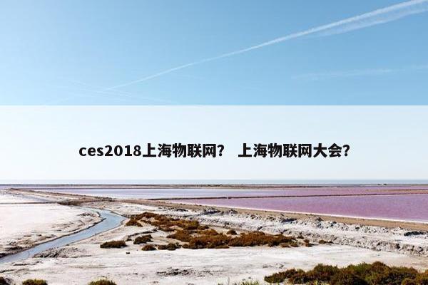 ces2018上海物联网？ 上海物联网大会？