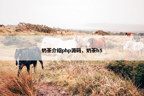 奶茶介绍php源码，奶茶h5