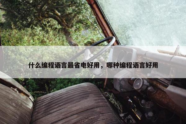 什么编程语言最省电好用，哪种编程语言好用