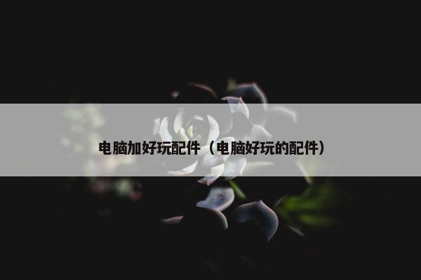电脑加好玩配件（电脑好玩的配件）