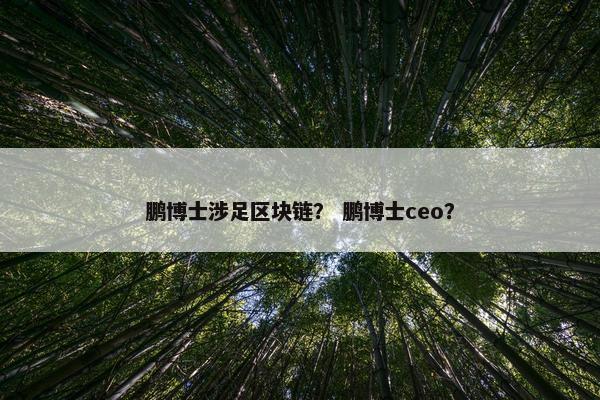 鹏博士涉足区块链？ 鹏博士ceo？