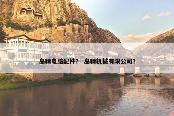 岛精电脑配件？ 岛精机械有限公司？