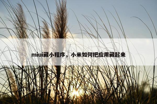 miui藏小程序，小米如何把应用藏起来