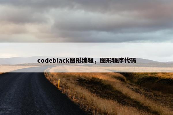 codeblack图形编程，图形程序代码