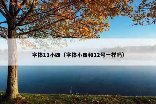 字体11小四（字体小四和12号一样吗）