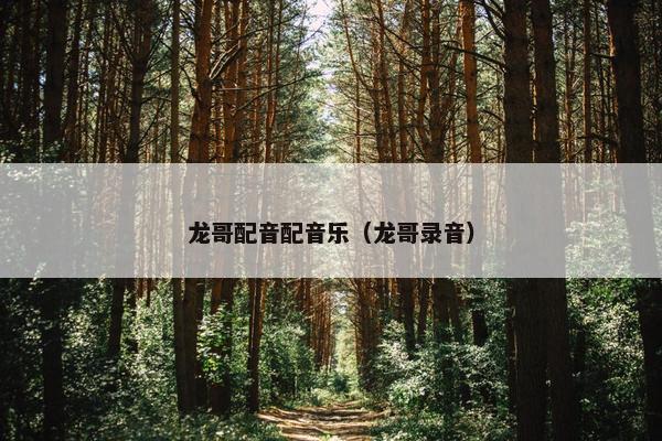 龙哥配音配音乐（龙哥录音）