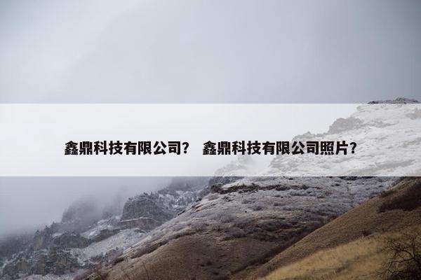 鑫鼎科技有限公司？ 鑫鼎科技有限公司照片？