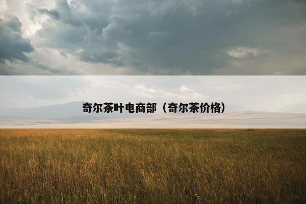奇尔茶叶电商部（奇尔茶价格）