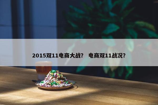 2015双11电商大战？ 电商双11战况？