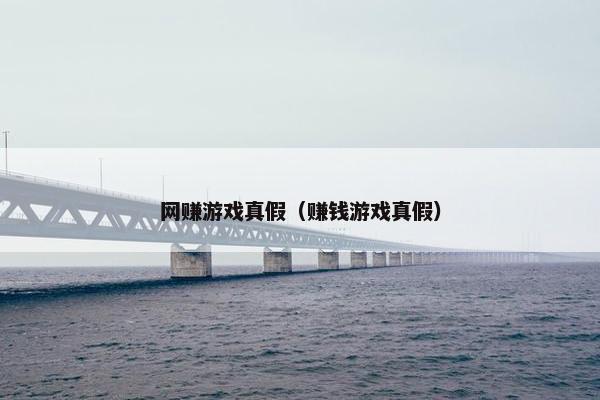 网赚游戏真假（赚钱游戏真假）