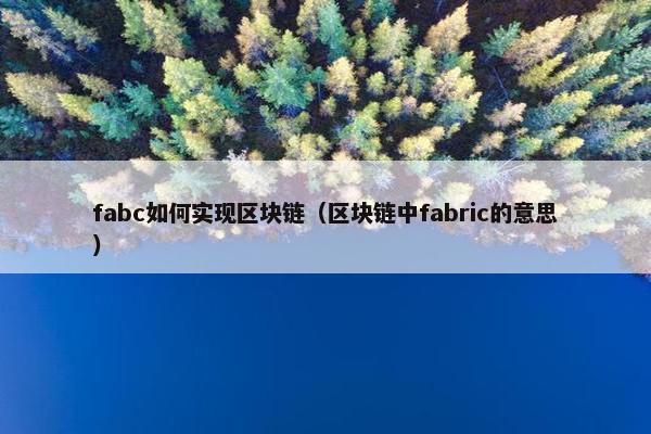 fabc如何实现区块链（区块链中fabric的意思）