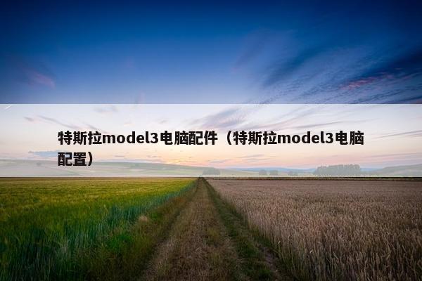 特斯拉model3电脑配件（特斯拉model3电脑配置）