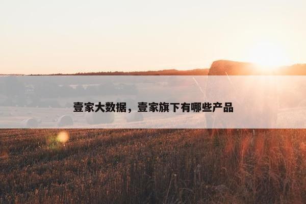 壹家大数据，壹家旗下有哪些产品