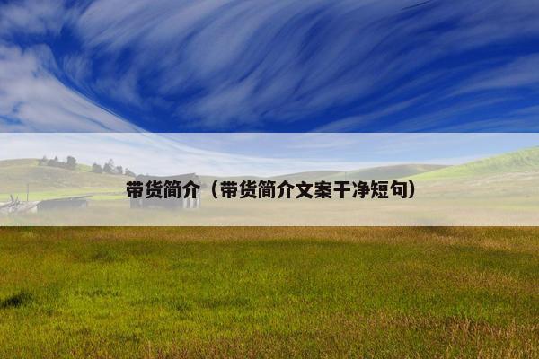 带货简介（带货简介文案干净短句）