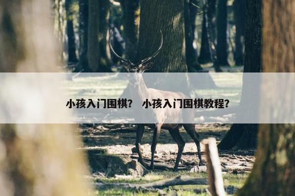 小孩入门围棋？ 小孩入门围棋教程？