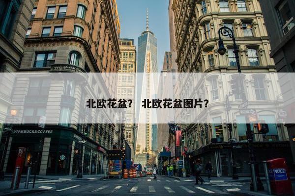 北欧花盆？ 北欧花盆图片？