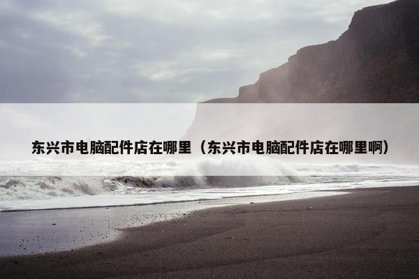 东兴市电脑配件店在哪里（东兴市电脑配件店在哪里啊）