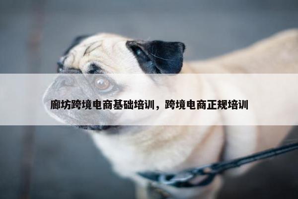 廊坊跨境电商基础培训，跨境电商正规培训