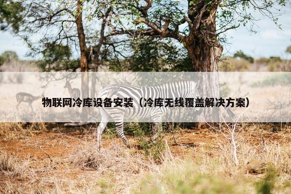 物联网冷库设备安装（冷库无线覆盖解决方案）