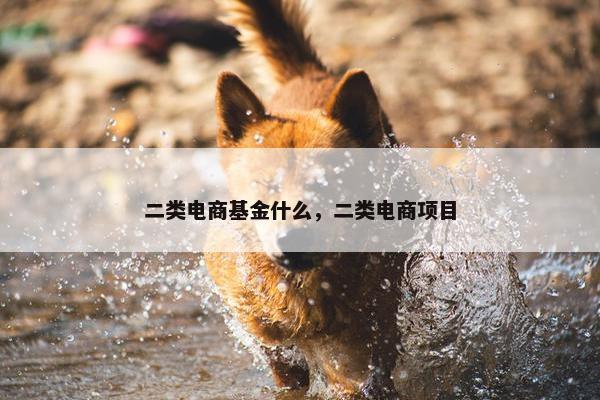 二类电商基金什么，二类电商项目