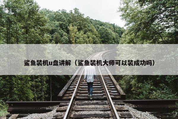 鲨鱼装机u盘讲解（鲨鱼装机大师可以装成功吗）