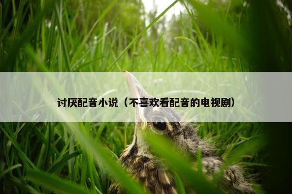 讨厌配音小说（不喜欢看配音的电视剧）