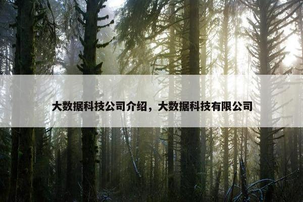 大数据科技公司介绍，大数据科技有限公司