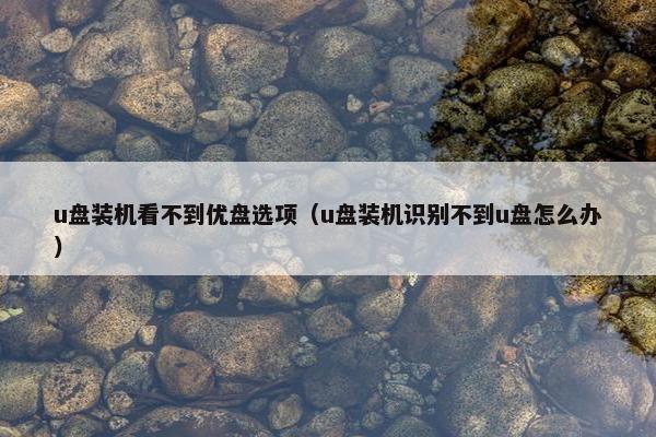 u盘装机看不到优盘选项（u盘装机识别不到u盘怎么办）
