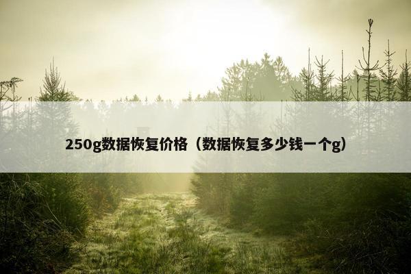 250g数据恢复价格（数据恢复多少钱一个g）