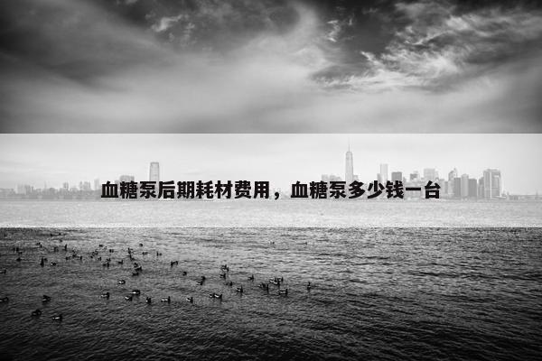 血糖泵后期耗材费用，血糖泵多少钱一台