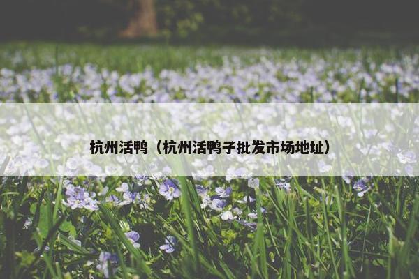 杭州活鸭（杭州活鸭子批发市场地址）