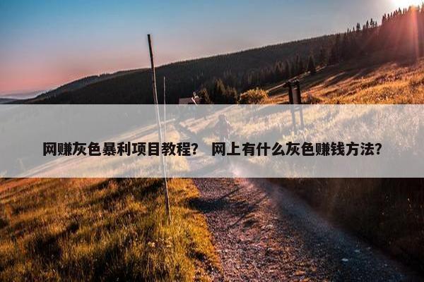 网赚灰色暴利项目教程？ 网上有什么灰色赚钱方法？
