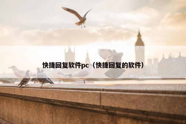 快捷回复软件pc（快捷回复的软件）