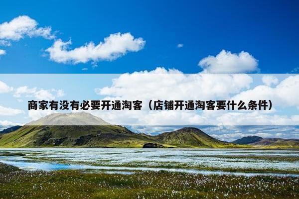 商家有没有必要开通淘客（店铺开通淘客要什么条件）