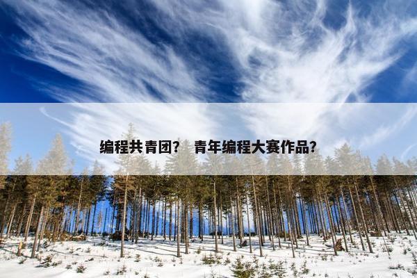 编程共青团？ 青年编程大赛作品？