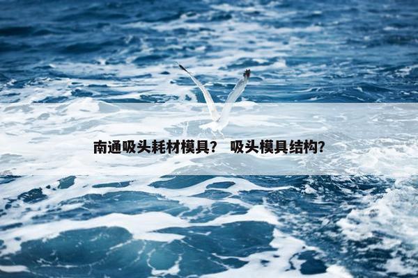 南通吸头耗材模具？ 吸头模具结构？