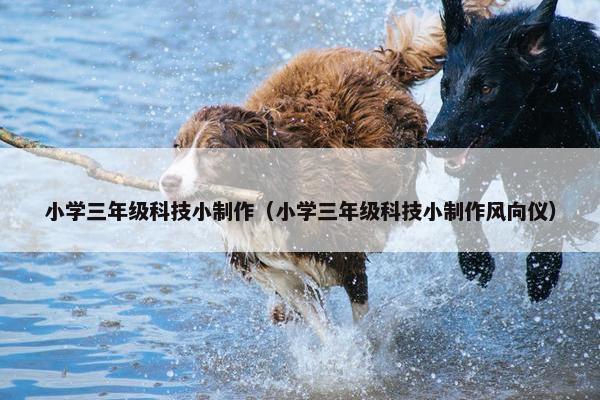 小学三年级科技小制作（小学三年级科技小制作风向仪）