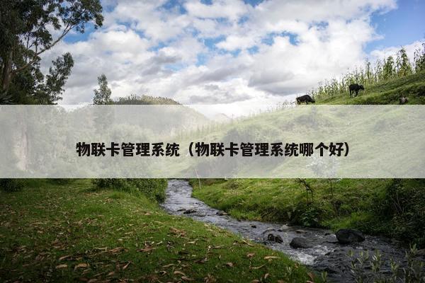 物联卡管理系统（物联卡管理系统哪个好）