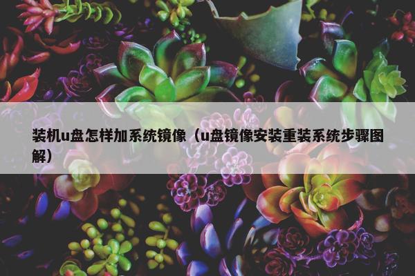 装机u盘怎样加系统镜像（u盘镜像安装重装系统步骤图解）