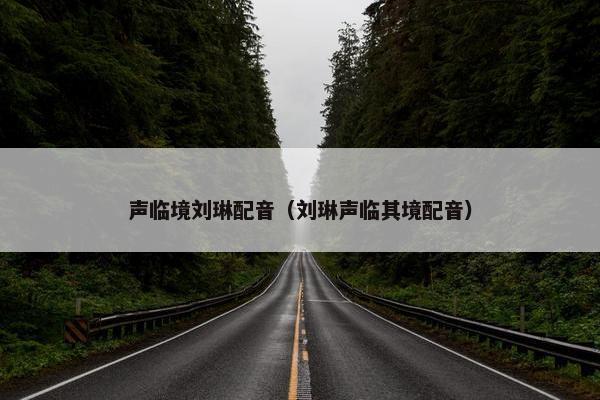 声临境刘琳配音（刘琳声临其境配音）