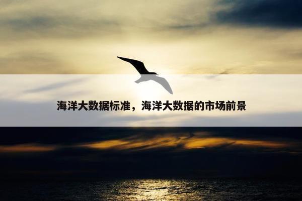 海洋大数据标准，海洋大数据的市场前景