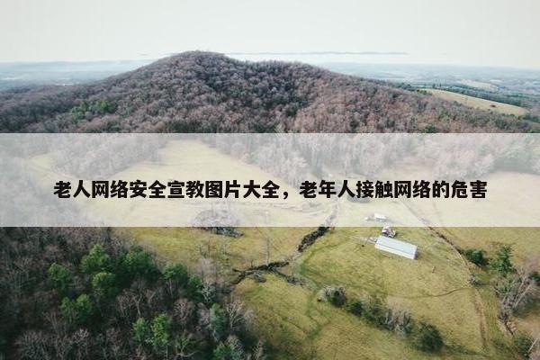 老人网络安全宣教图片大全，老年人接触网络的危害