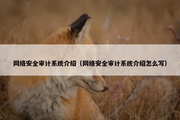 网络安全审计系统介绍（网络安全审计系统介绍怎么写）